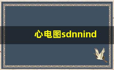 心电图sdnnindex,sdnn index正常值范围